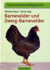 Barnevelder und Zwerg-Barnevelder