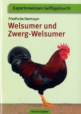 Welsumer und Zwerg-Welsumer
