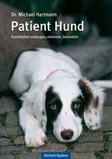 Patient Hund