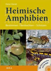 Heimische Amphibien, m. MP3-CD-ROM