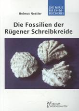 Die Fossilien der Rügener Schreibkreide