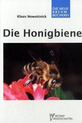 Die Honigbiene