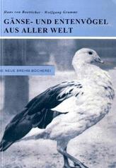 Gänse- und Entenvögel aus aller Welt