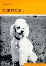 Der Pudel