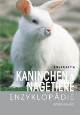Elfen - Die Dynastie der Schwarzelfen