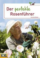 Photoakustische Tomographie