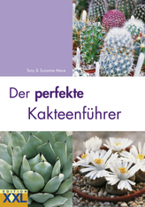 Burnout in der Krise