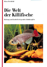 Zensciny Lazarja. Lazarus' Frauen, russische Ausgabe