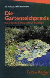 Besy. Die Dämonen, russische Ausgabe