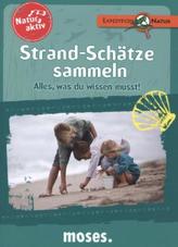Natur aktiv: Strand-Schätze sammeln