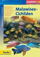 Malawisee-Cichliden