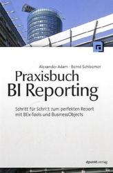 Praxisbuch BI Reporting