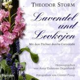 Lavendel und Levkojen