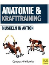 Anatomie & Krafttraining
