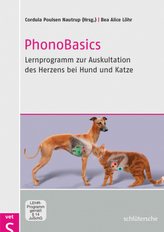 PhonoBasics, DVD-ROM