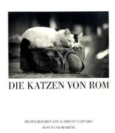 Die Katzen von Rom