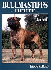 Bullmastiffs heute