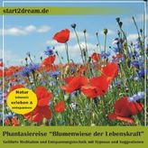Phantasiereise 'Blumenwiese der Lebenskraft', Audio-CD