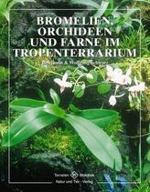 Bromelien, Orchideen und Farne im Tropenterrarium