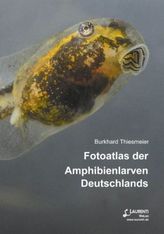 Fotoatlas der Amphibienlarven Deutschlands