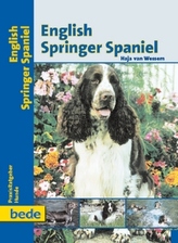 English Springer Spaniel