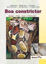 Boa constrictor