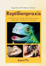 Reptilienpraxis