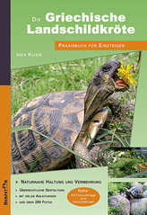 Die Griechische Landschildkröte