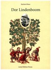 Dor Lindenboom