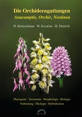 Die Orchideengattungen Anacamptis, Orchis, Neotinea