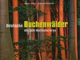 Deutsche Buchenwälder