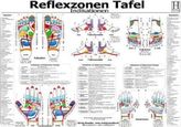 Beruf und Arbeit, m. CD-ROM