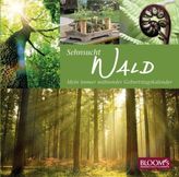Sehnsucht Wald