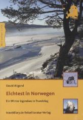 Elchtest in Norwegen