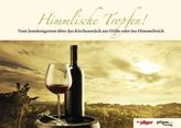 Kreuzfahrt-Guide Ostsee