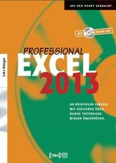 Excel 2013 Professional, m. CD-ROM