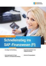Schnelleinstieg ins SAP-Finanzwesen (FI)