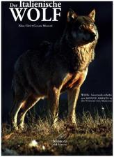 Der italienische Wolf