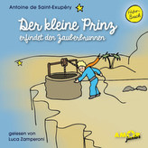 Der kleine Prinz erfindet den Zauberbrunnen, 1 Audio-CD. Folge.11