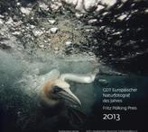 GDT Europäischer Naturfotograf des Jahres 2013 / Fritz Pölking Preis 2013