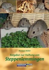 Ratgeber zur Haltung von Steppenlemmingen