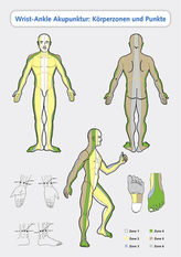 Wrist-Ankle Akupunktur: Körperzonen und Punkte, Poster
