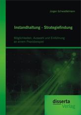 Instandhaltung - Strategiefindung: Möglichkeiten, Auswahl und Einführung an einem Praxisbeispiel