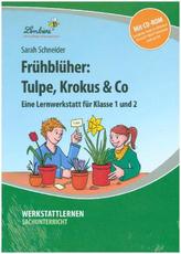 Frühblüher: Tulpe, Krokus & Co, m. CD-ROM