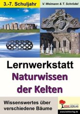 Teufelssturz