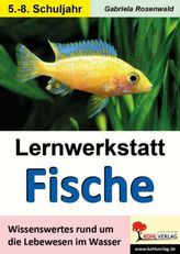 Lernwerkstatt Fische