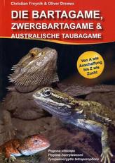 Die Bartagame, Zwergbartagame und Australische Taubagame