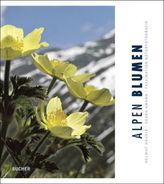 Alpen Blumen. Faszination Naturfotografie