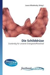 Handbuch Stressbewältigung, m. Übungs-Audio-CD