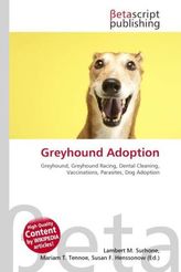Greyhound Adoption